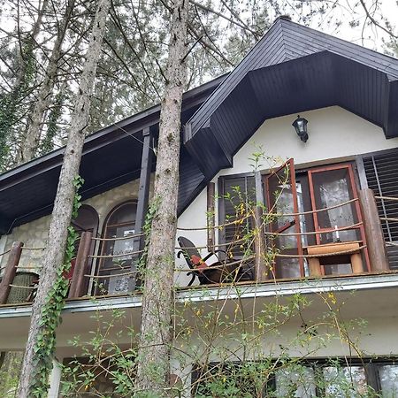 Guesthouse Bajka Vinci Pokoj fotografie