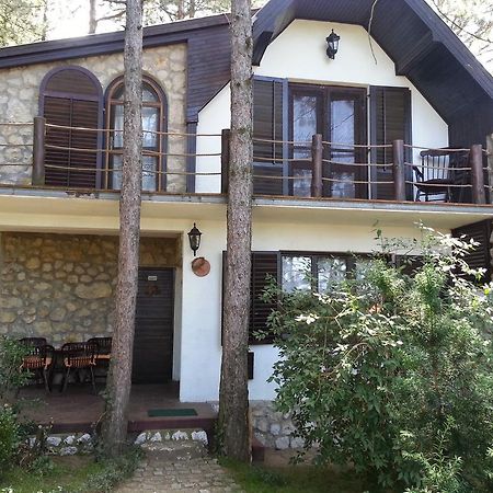 Guesthouse Bajka Vinci Exteriér fotografie