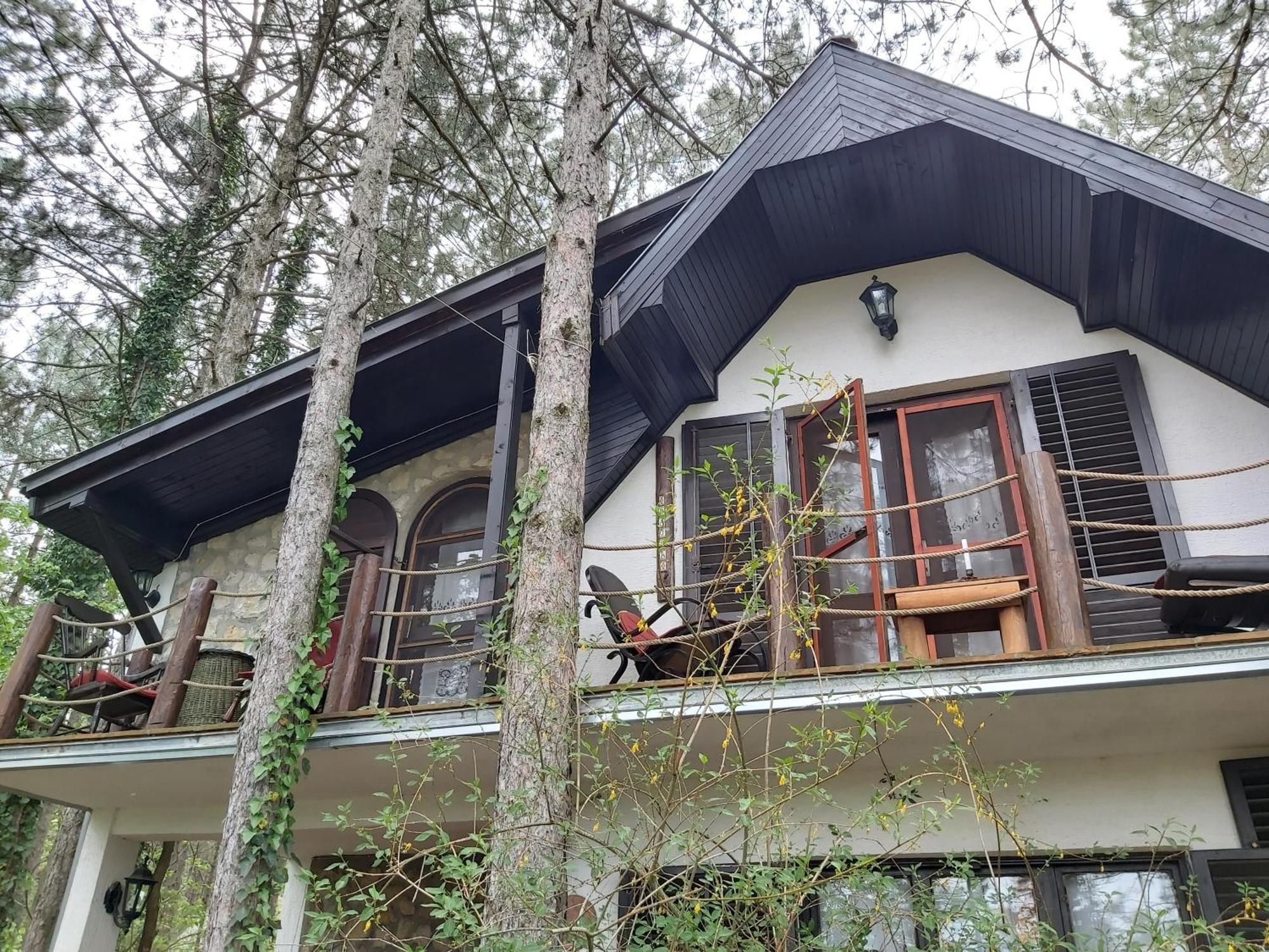 Guesthouse Bajka Vinci Pokoj fotografie