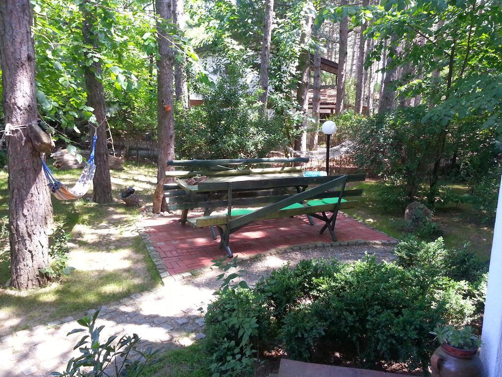 Guesthouse Bajka Vinci Exteriér fotografie
