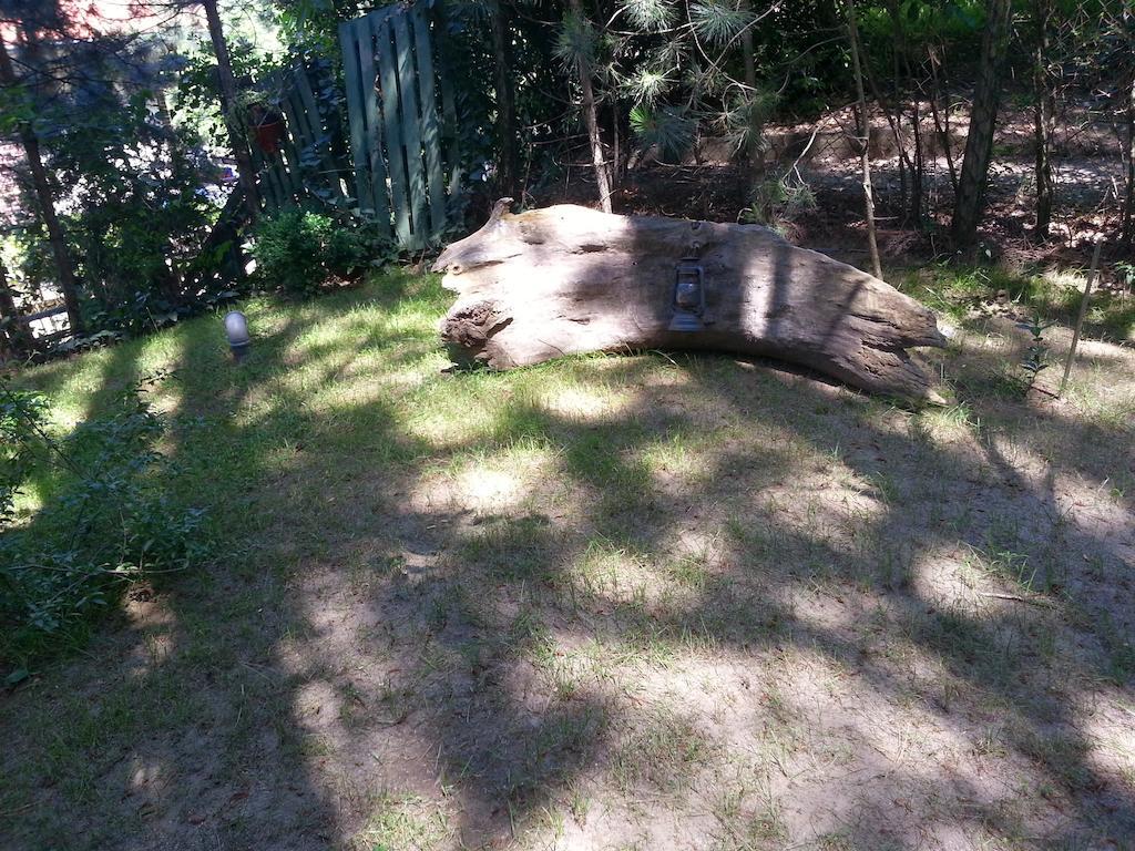 Guesthouse Bajka Vinci Exteriér fotografie