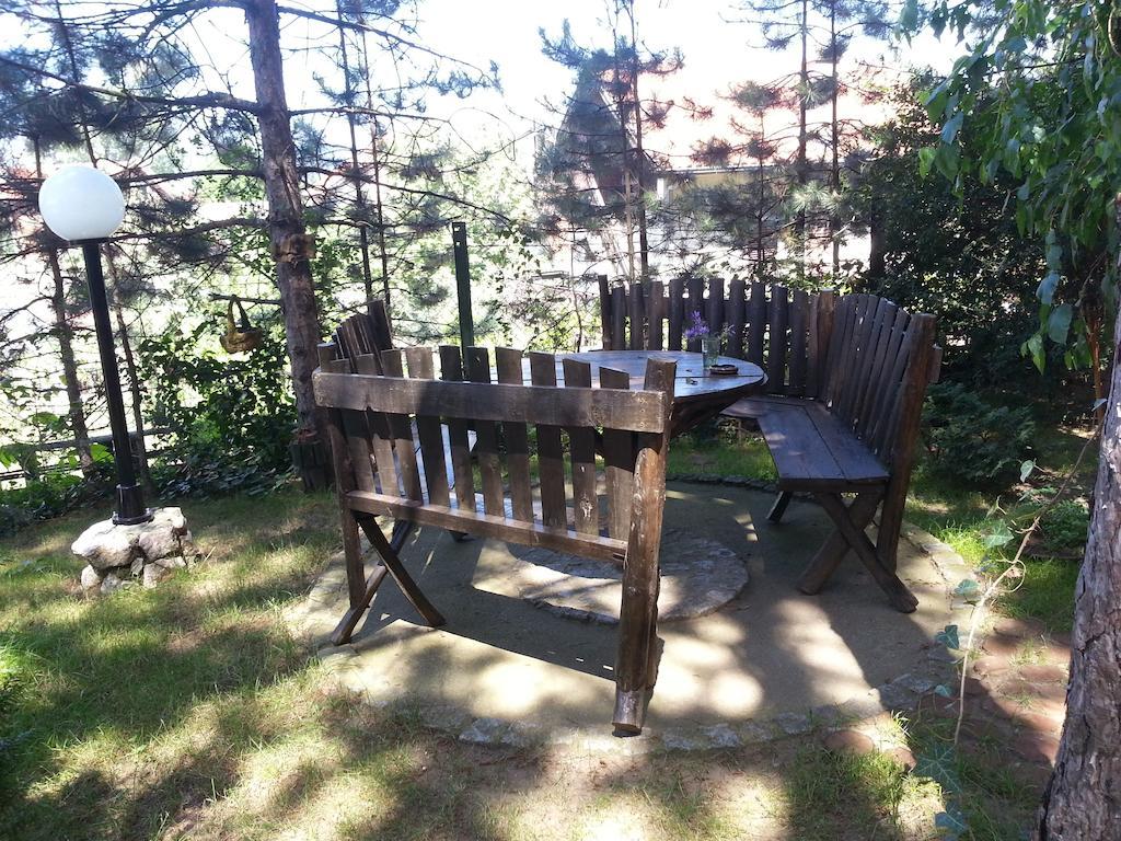 Guesthouse Bajka Vinci Exteriér fotografie