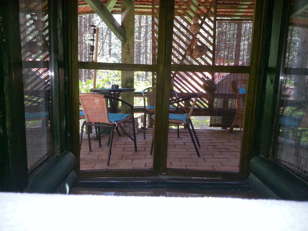 Guesthouse Bajka Vinci Pokoj fotografie