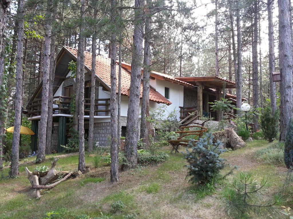 Guesthouse Bajka Vinci Exteriér fotografie