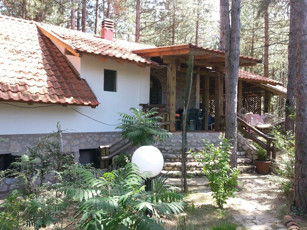 Guesthouse Bajka Vinci Exteriér fotografie