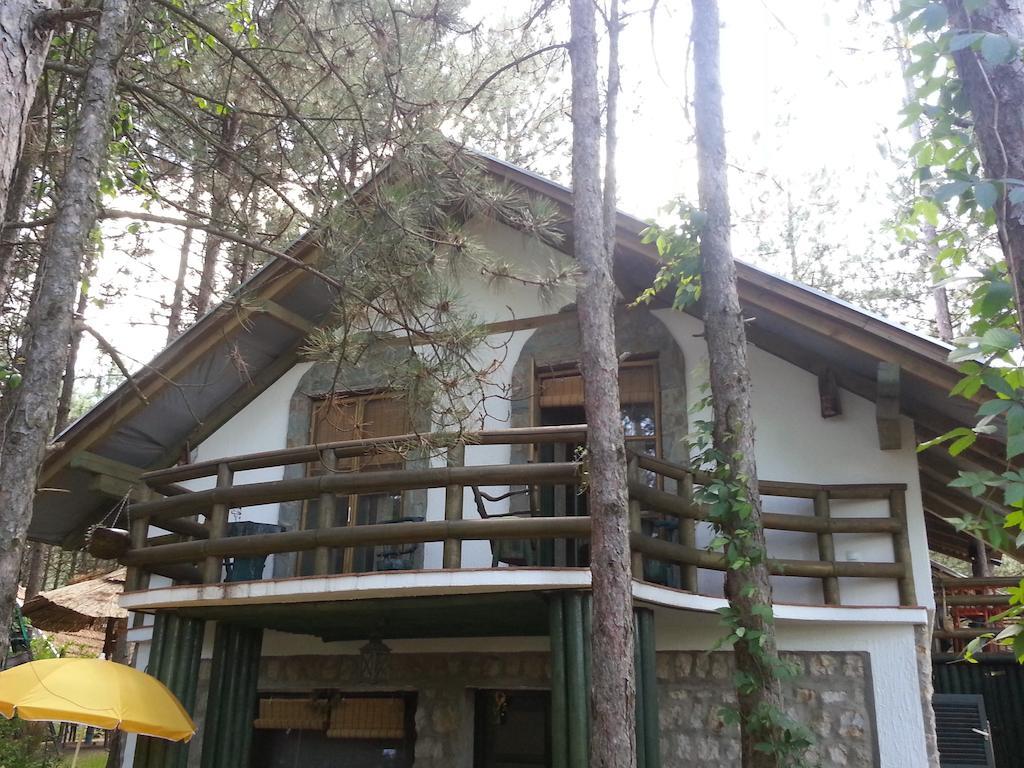 Guesthouse Bajka Vinci Exteriér fotografie