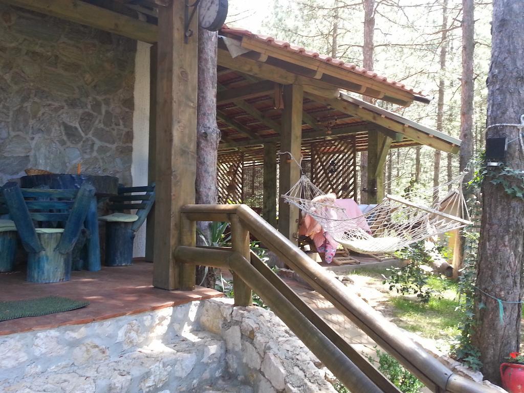 Guesthouse Bajka Vinci Exteriér fotografie