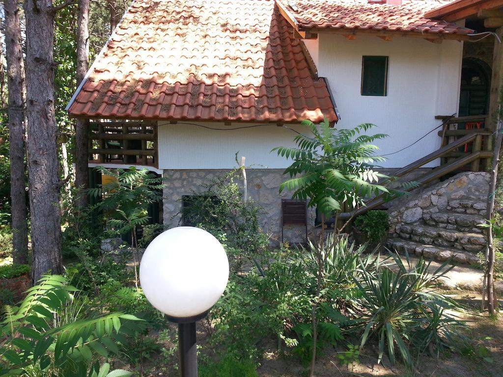 Guesthouse Bajka Vinci Exteriér fotografie