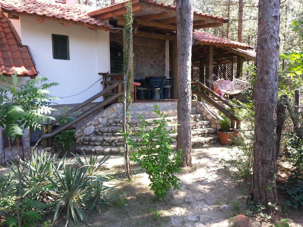 Guesthouse Bajka Vinci Exteriér fotografie