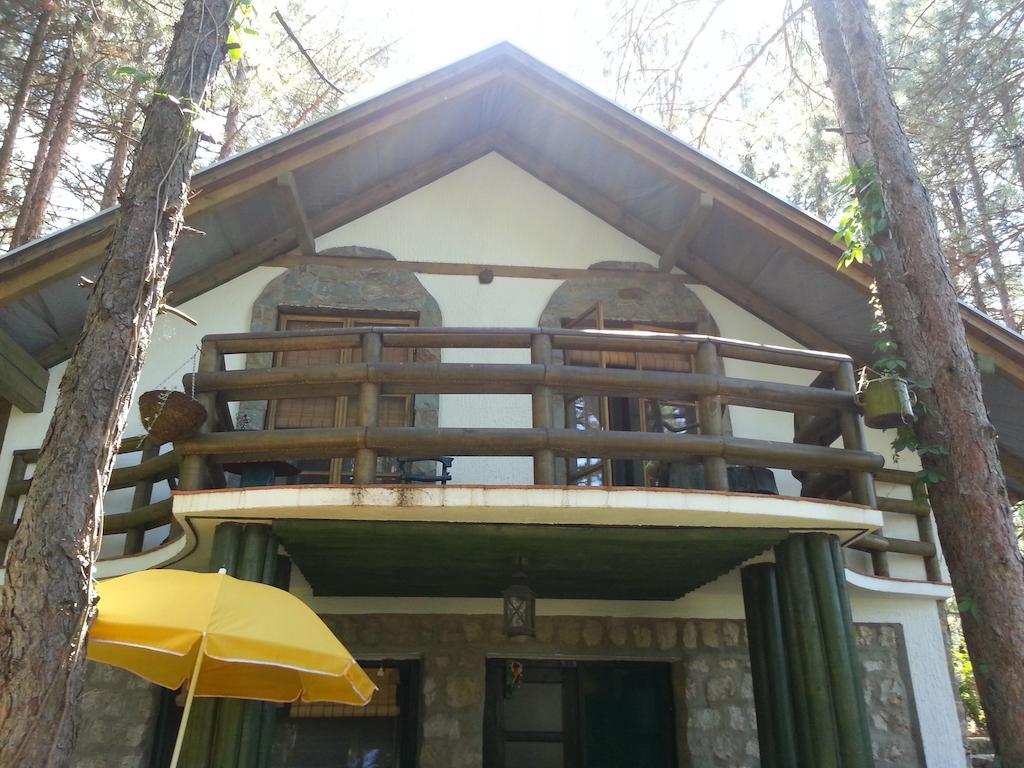 Guesthouse Bajka Vinci Exteriér fotografie