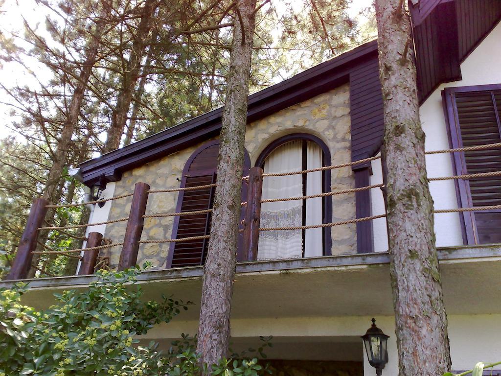 Guesthouse Bajka Vinci Exteriér fotografie