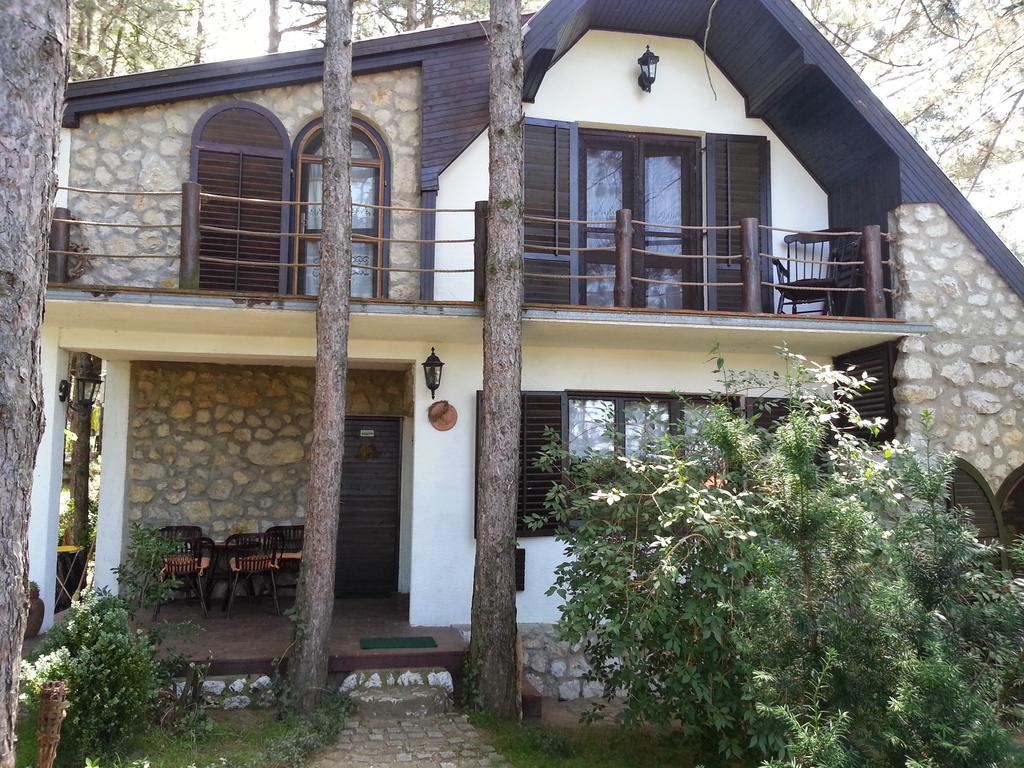 Guesthouse Bajka Vinci Exteriér fotografie
