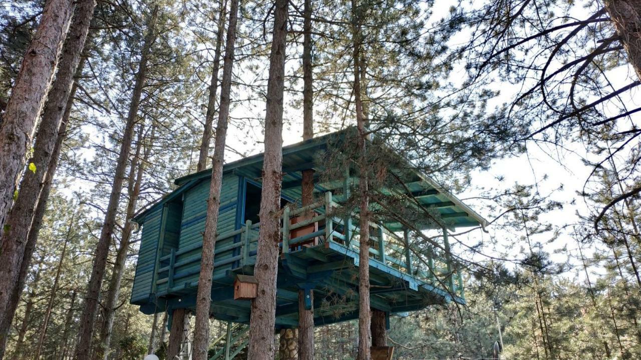 Guesthouse Bajka Vinci Exteriér fotografie