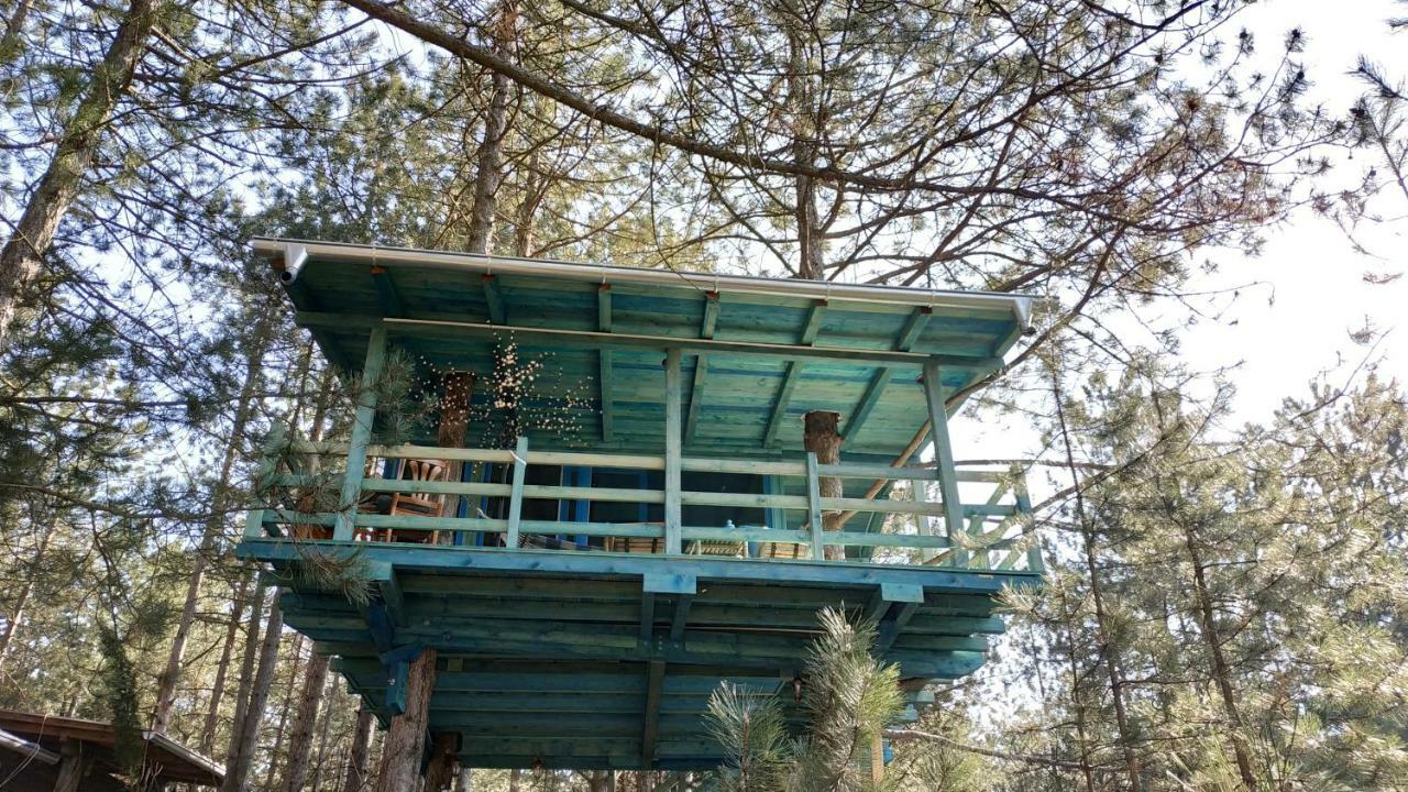 Guesthouse Bajka Vinci Exteriér fotografie