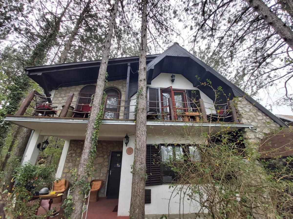 Guesthouse Bajka Vinci Exteriér fotografie